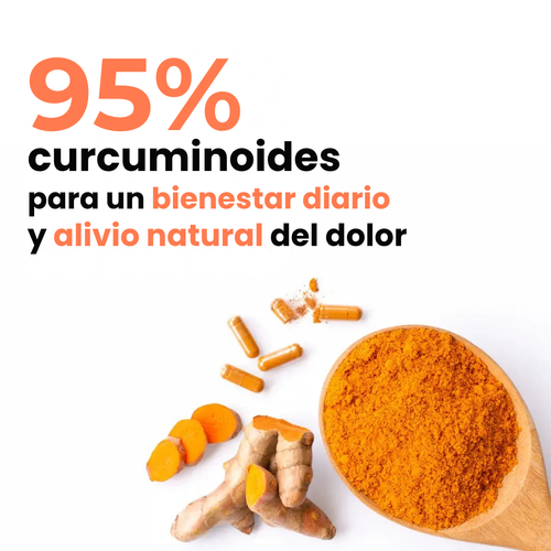 Cápsulas de Cúrcuma 95