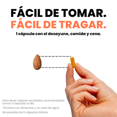 Cápsulas de Cúrcuma 95